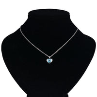 Stainless Steel Rhinestone Pet Urn Necklace Paw Print