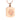 Tag With Paw Pet Ashes Necklace