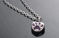 Stainless Steel Rhinestone Pet Urn Necklace Paw Print